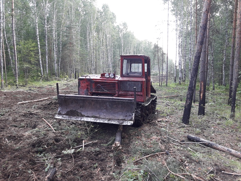 РМК и вырубка леса